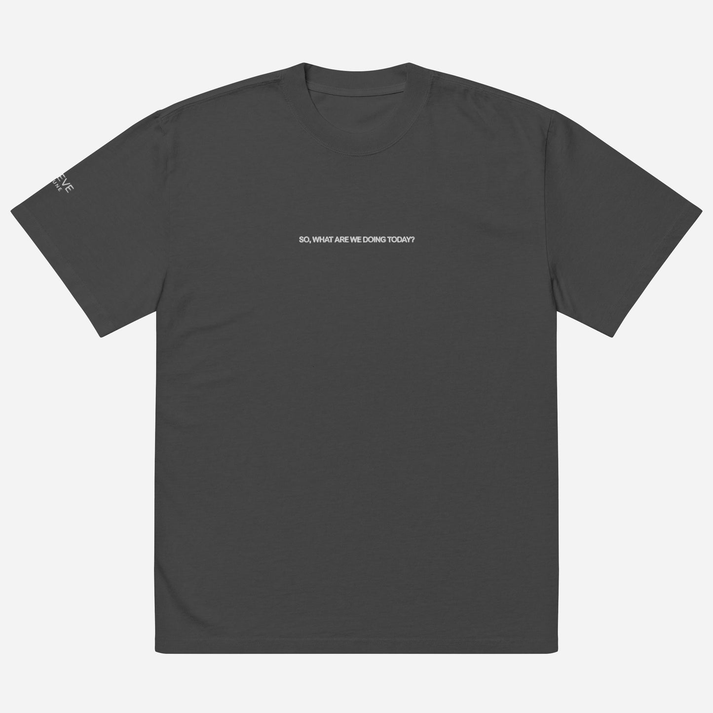 SO, WHAT ARE WE DOING TODAY? Oversized faded t-shirt | Front & Sleeve Embroidery | White