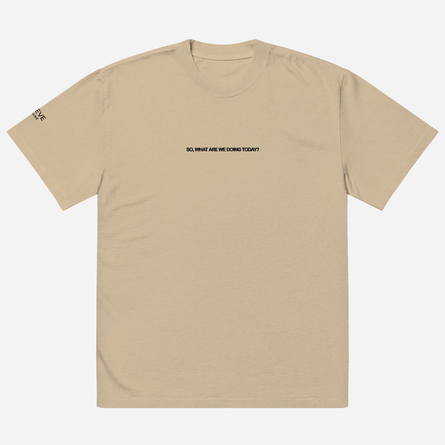 SO, WHAT ARE WE DOING TODAY? Oversized faded t-shirt | Front & Sleeve Embroidery | Black